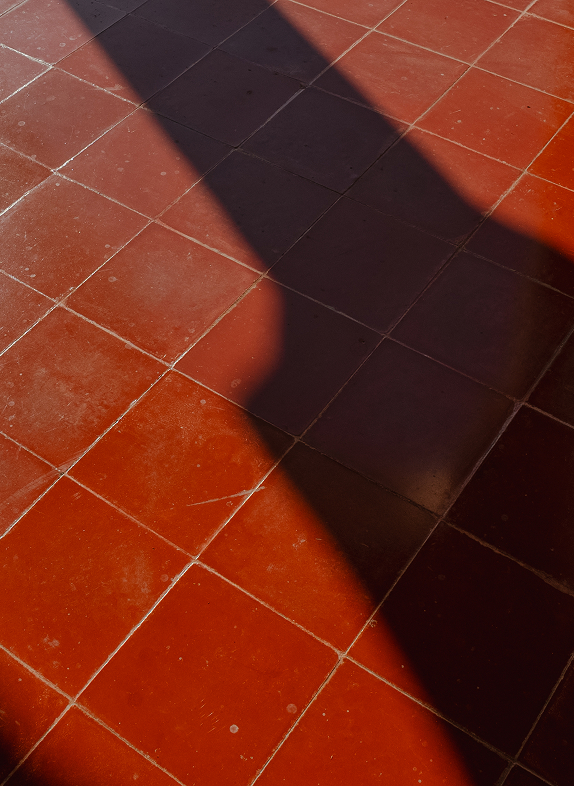 Trama Yucatán - Imagen 5