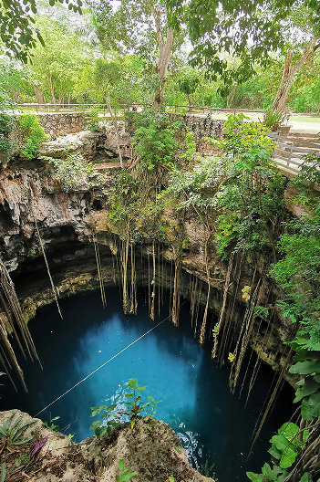 Naturaleza y jardines en haciendas yucatecas